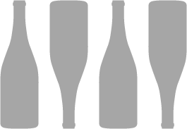 Q4-B four-bottle yoke insert