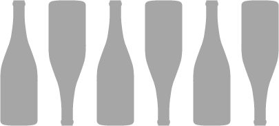 Q6-B six-bottle yoke insert