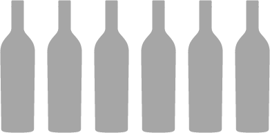 Q6-F six-bottle yoke insert